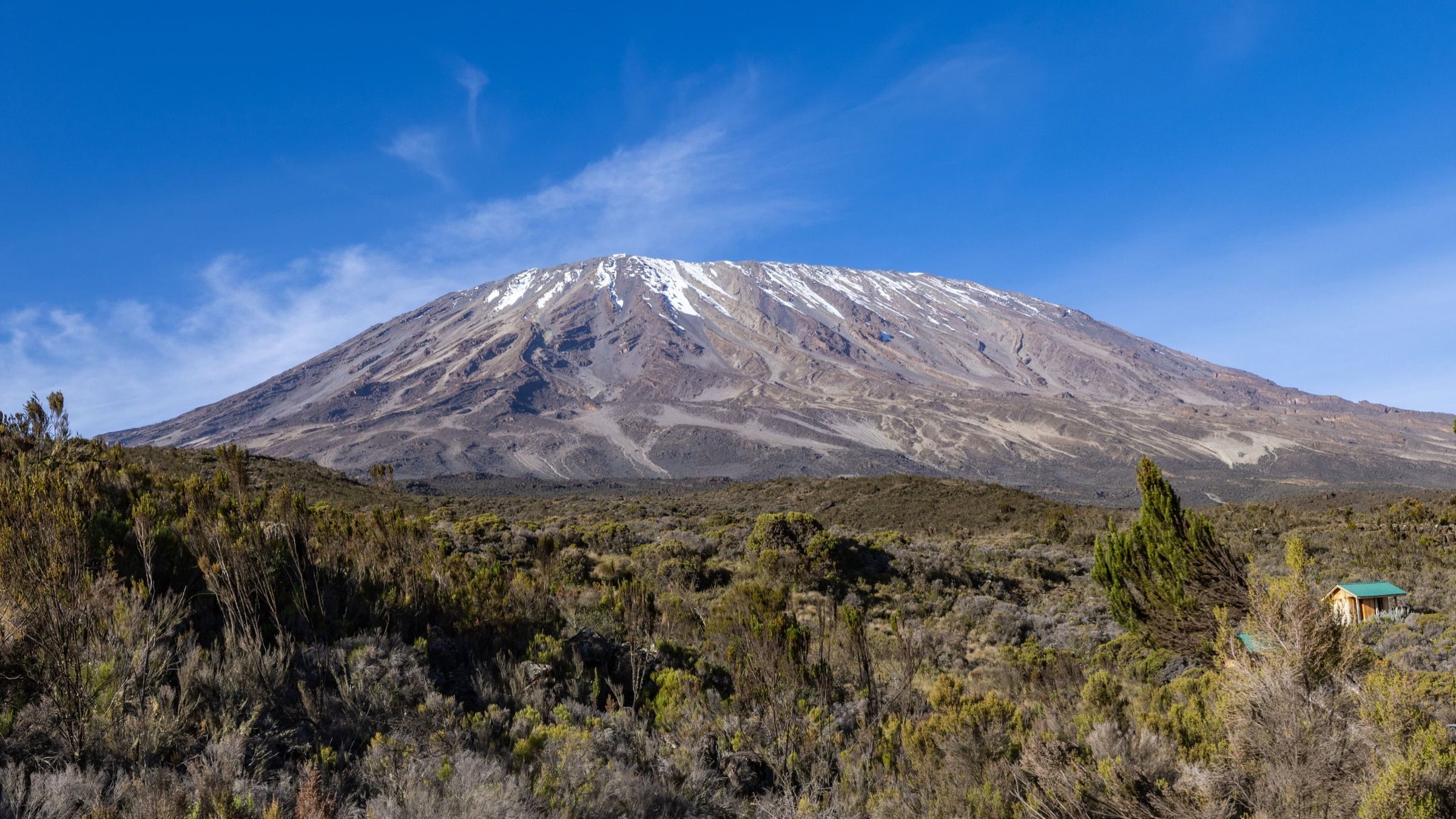 Kibo, the snow-streaked summit of Kilimanjaro, rising above the moorland under a blue sky