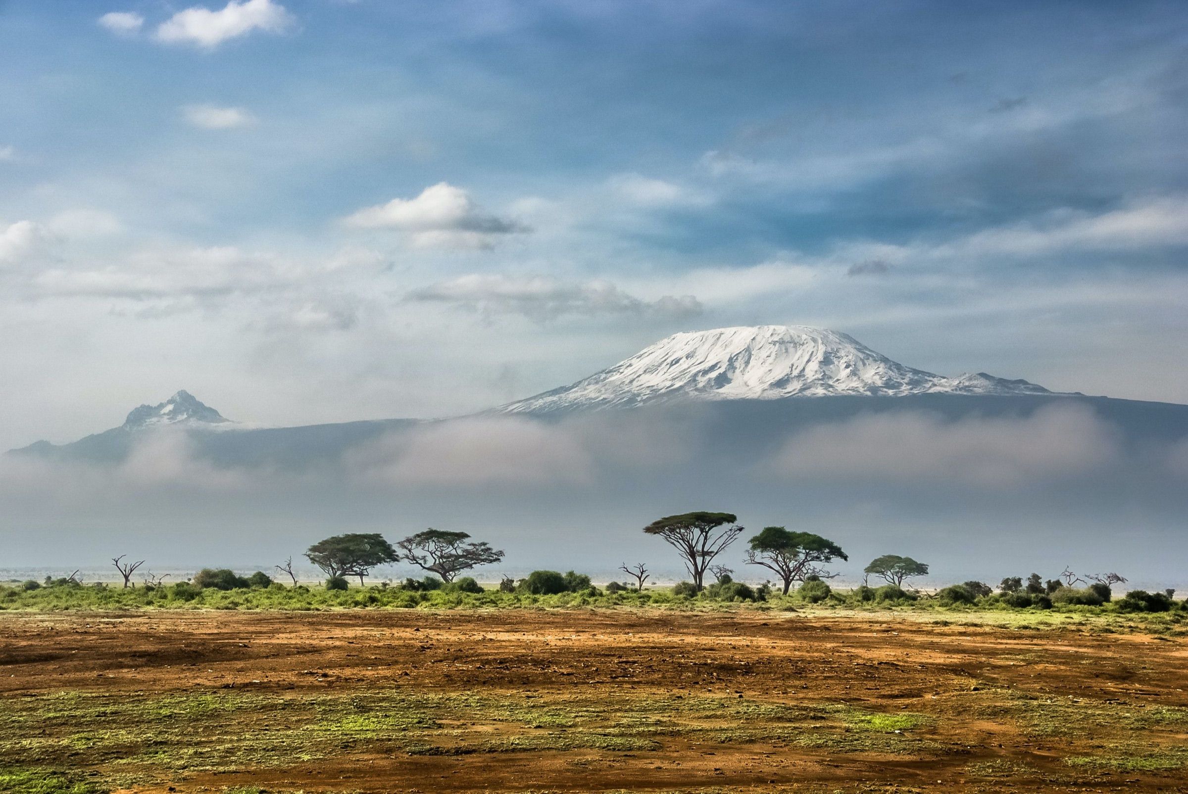 Kilimanjaro above a band of cloud, seen from the savanna with acacia trees